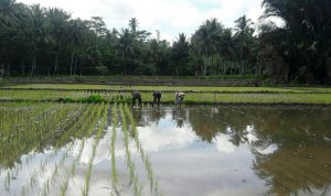 photo_2019-12-26_09-41-30