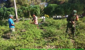 photo_2020-01-01_08-27-46