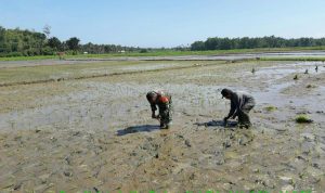 photo_2020-01-03_09-10-20