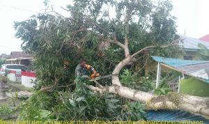 photo_2020-01-05_07-57-56