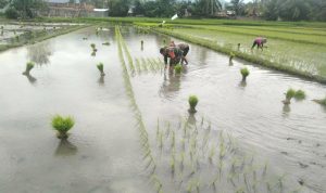photo_2020-01-07_10-49-04