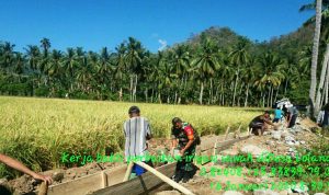 photo_2020-01-16_08-34-16