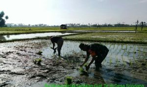 photo_2020-01-27_07-51-05