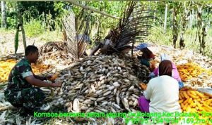 photo_2020-02-04_09-25-20