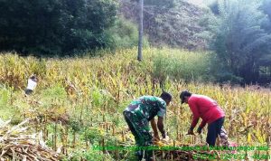 photo_2020-02-05_08-38-19