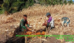 photo_2020-02-10_09-13-13