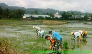 photo_2020-02-11_06-22-09