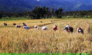 photo_2020-02-13_08-57-57