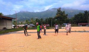 photo_2020-02-15_09-32-28