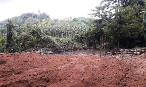 photo_2020-02-22_20-50-56