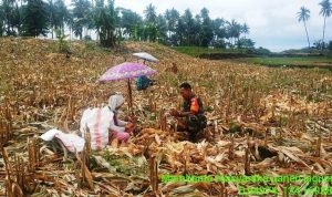 photo_2020-02-27_12-37-17