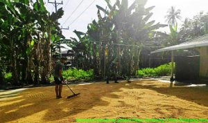 photo_2020-03-12_13-25-20