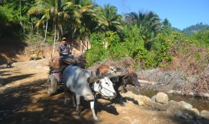 photo_2020-04-14_17-42-39