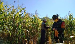 photo_2020-04-20_10-53-42