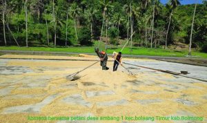 photo_2020-04-21_14-56-31