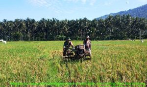 photo_2020-04-27_11-08-56