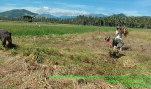 photo_2020-04-28_13-52-12