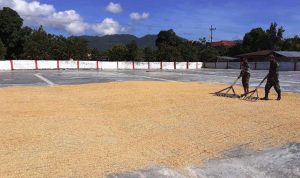 photo_2020-05-18_12-24-26