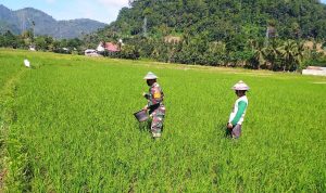 photo_2020-05-19_10-36-55