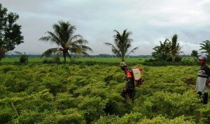 photo_2020-05-25_08-53-03