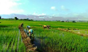 photo_2020-05-27_17-39-01
