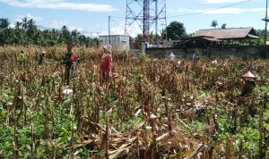photo_2020-05-28_16-38-47