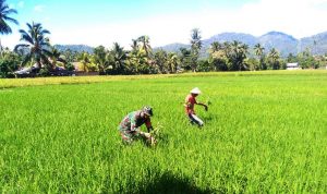 photo_2020-06-02_15-41-04