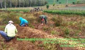 photo_2020-06-05_10-29-07