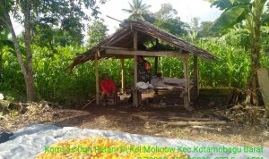 photo_2020-06-08_12-19-56