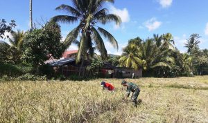 photo_2020-06-10_11-25-38