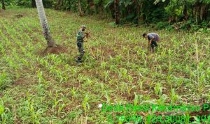 photo_2020-06-11_10-56-47