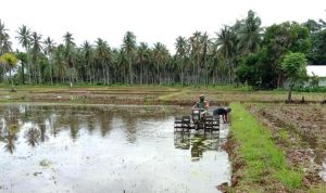 photo_2020-06-11_11-15-03