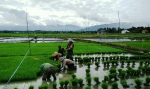 photo_2020-06-15_08-52-58