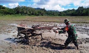 photo_2020-06-16_11-03-29