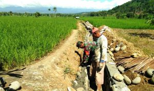 photo_2020-06-17_13-04-45