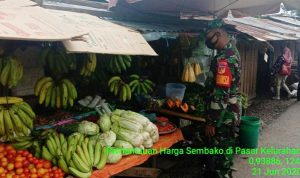 photo_2020-06-22_13-52-50