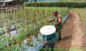 photo_2020-06-22_14-11-28