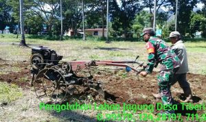 photo_2020-06-23_13-20-55