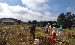 photo_2020-06-23_15-16-50