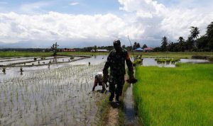 photo_2020-07-01_13-48-20