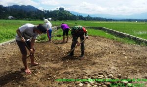 photo_2020-07-02_09-38-24