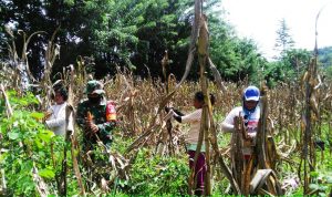 photo_2020-07-03_08-35-04