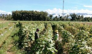 photo_2020-07-07_06-43-17