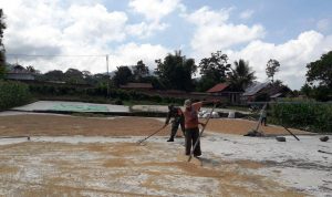 photo_2020-07-07_06-47-52