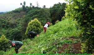 photo_2020-07-21_08-03-10