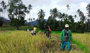photo_2020-07-21_08-48-13