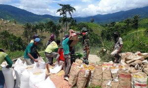 photo_2020-07-23_07-54-45
