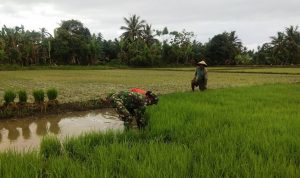 photo_2020-07-29_13-59-17