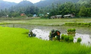 photo_2020-07-30_13-41-54