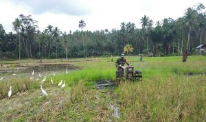 photo_2020-08-06_10-04-12 (3)
